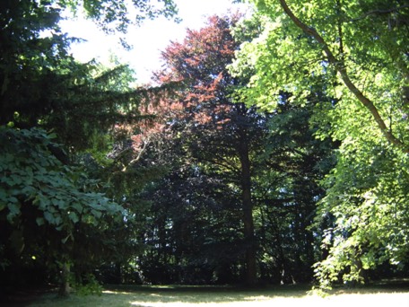 Stacks Image 133